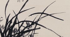 药物咨询师招生简章