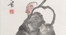 动物医师招生简章